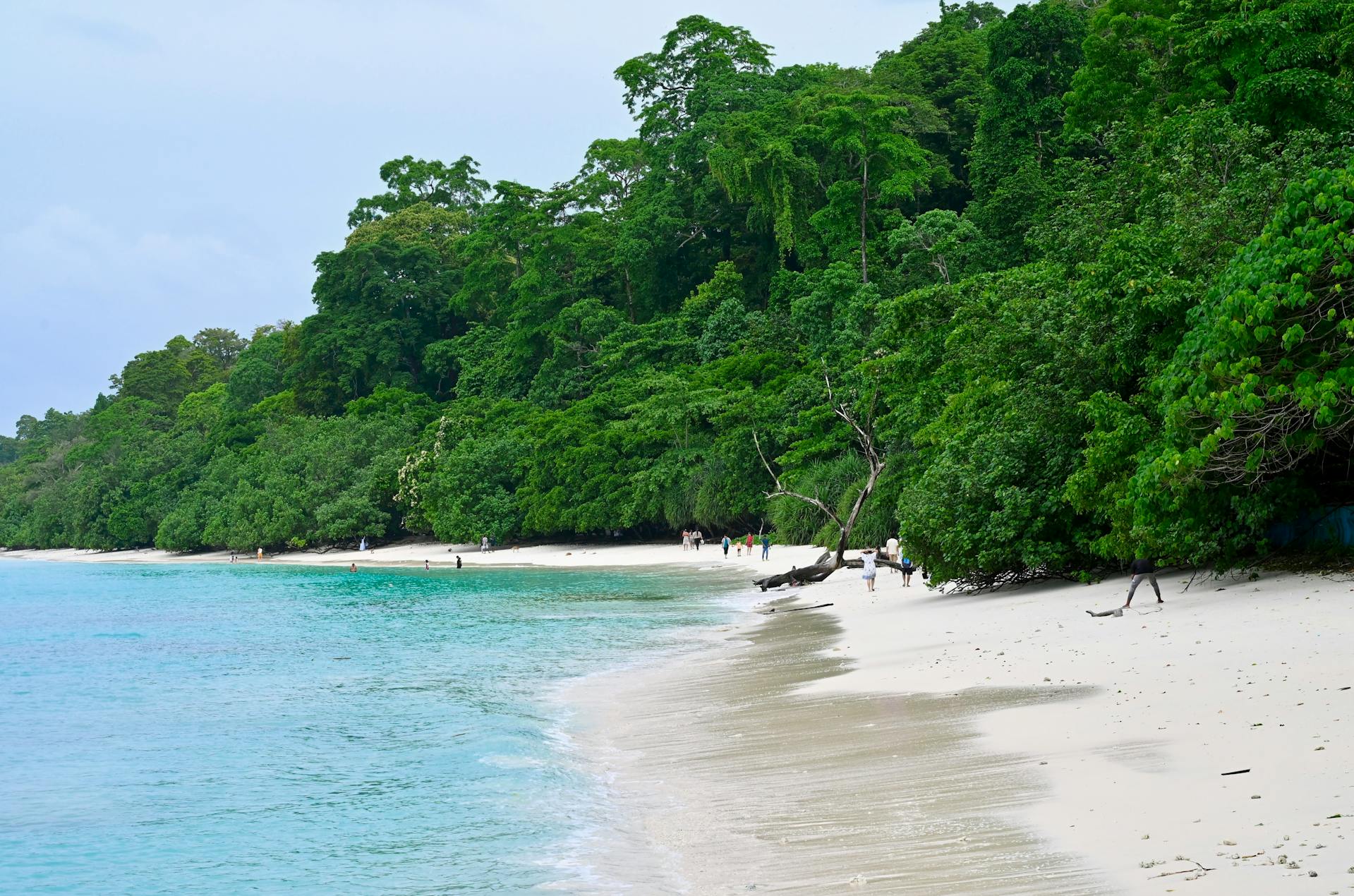 Andaman-Nicobar India