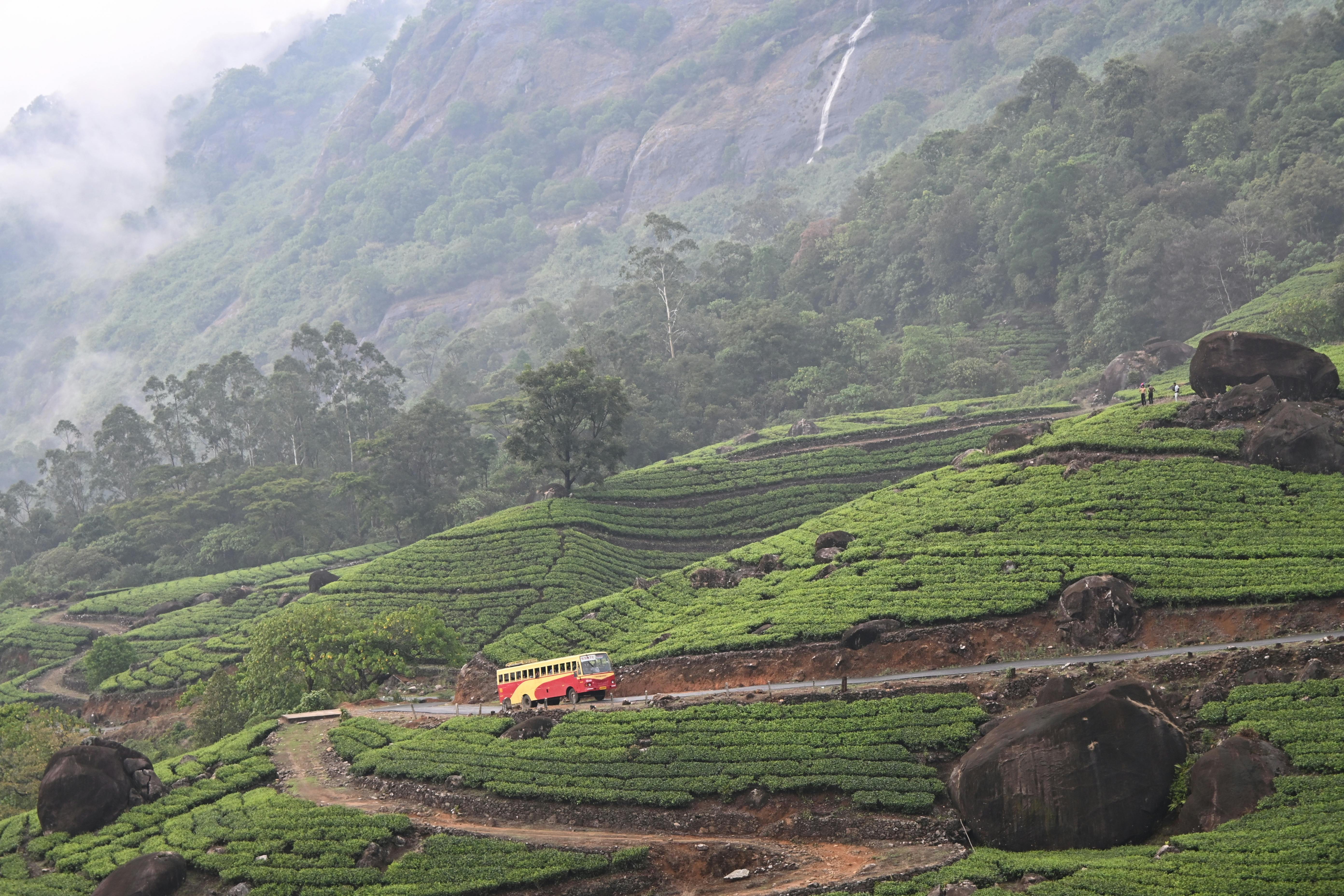 Munnar Tea Gardens