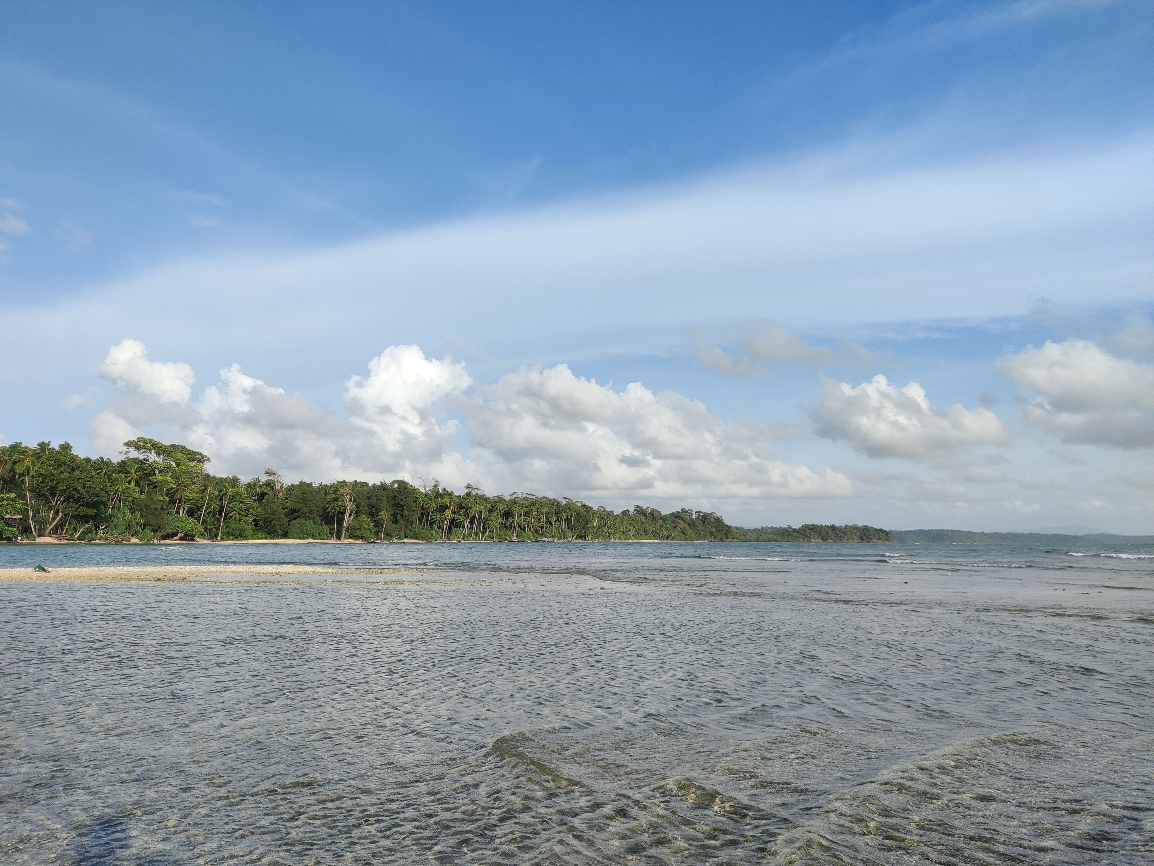 Neil Island Coral Reef