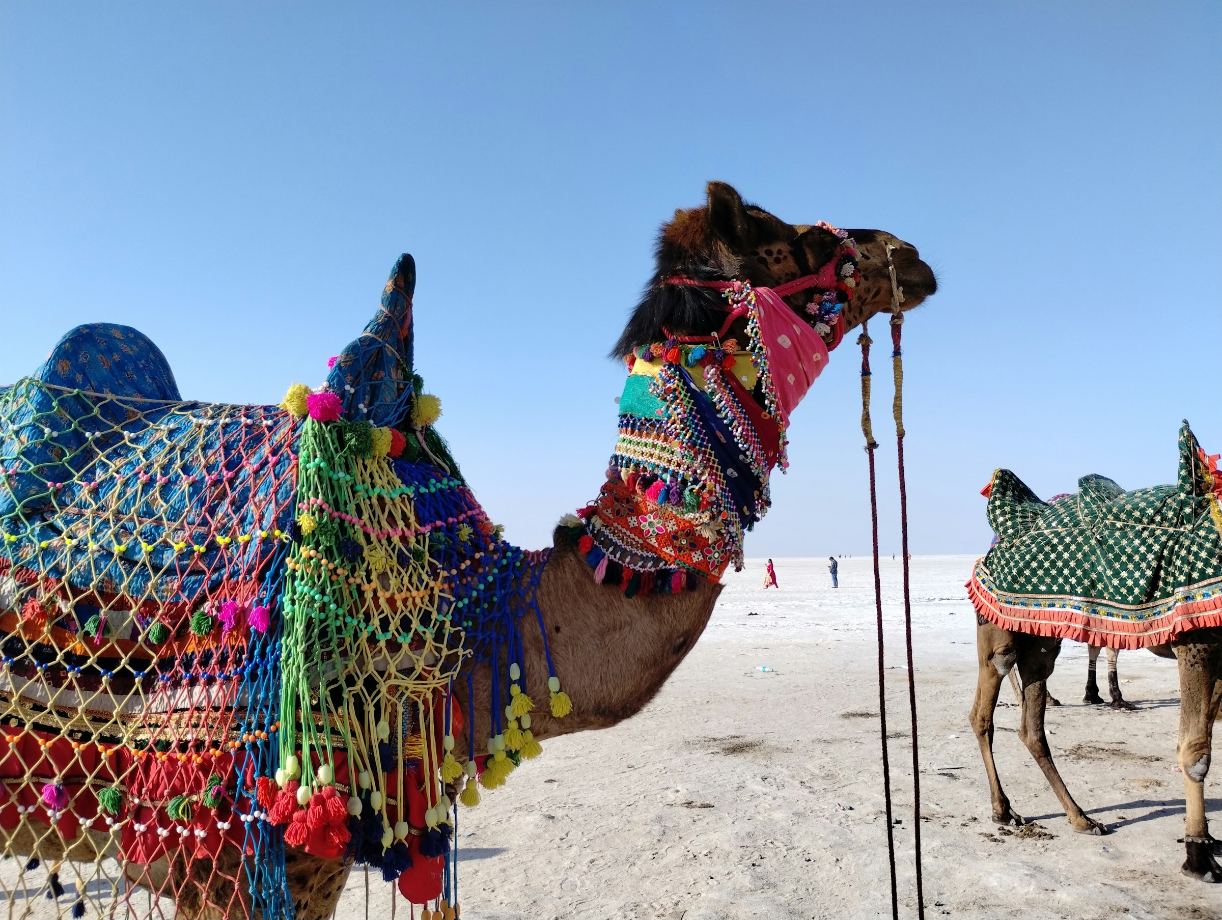 Rann of Kutch Gujarat