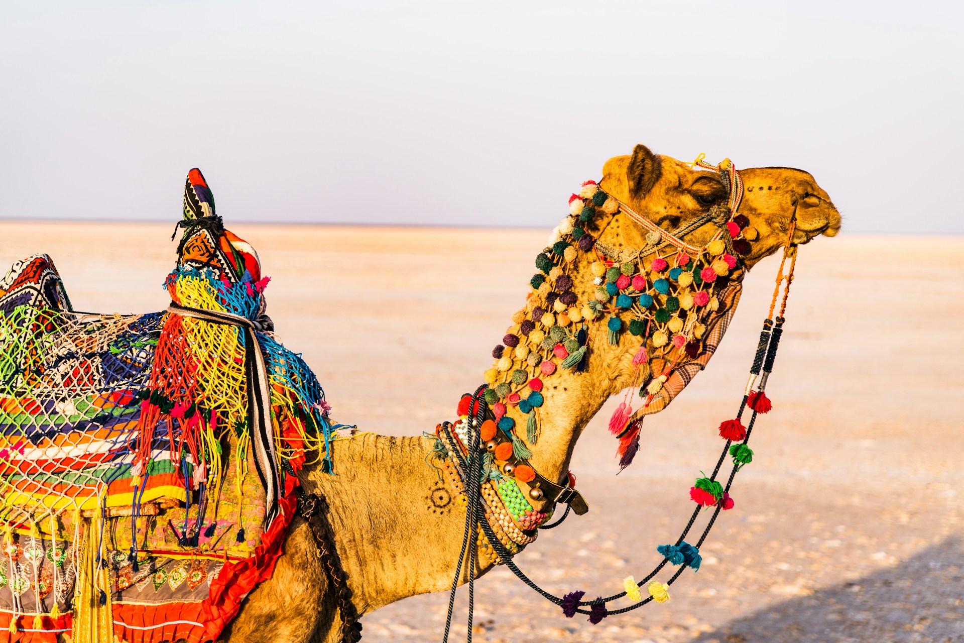 Rann of Kutch Desert